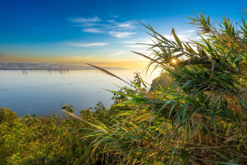 Obecna sytuacja na rynku nieruchomości sprzyja inwestycjom w działki rekreacyjne