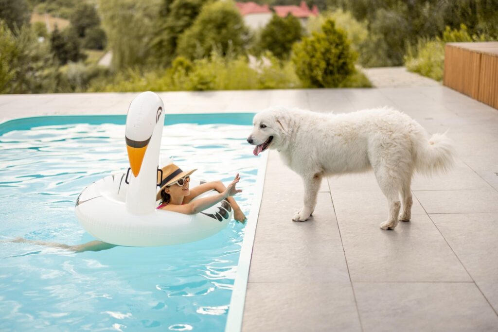 Marzenie o własnej działce z linią brzegową, gdzie rano można podziwiać wschód słońca nad wodą, a wieczorem słuchać szumu fal, jest w zasięgu ręki