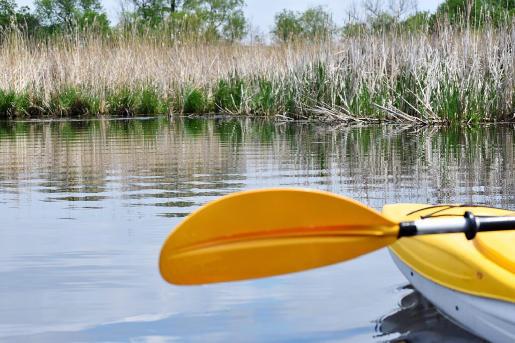 Budowa domu nad jeziorem wiąże się z koniecznością spełnienia szeregu wymogów środowiskowych mających na celu ochronę tego unikalnego ekosystemu